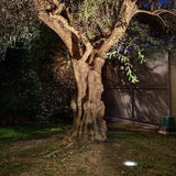 Smart lights™ solar powered lights solar lights led flower garden trendyoutfiters 